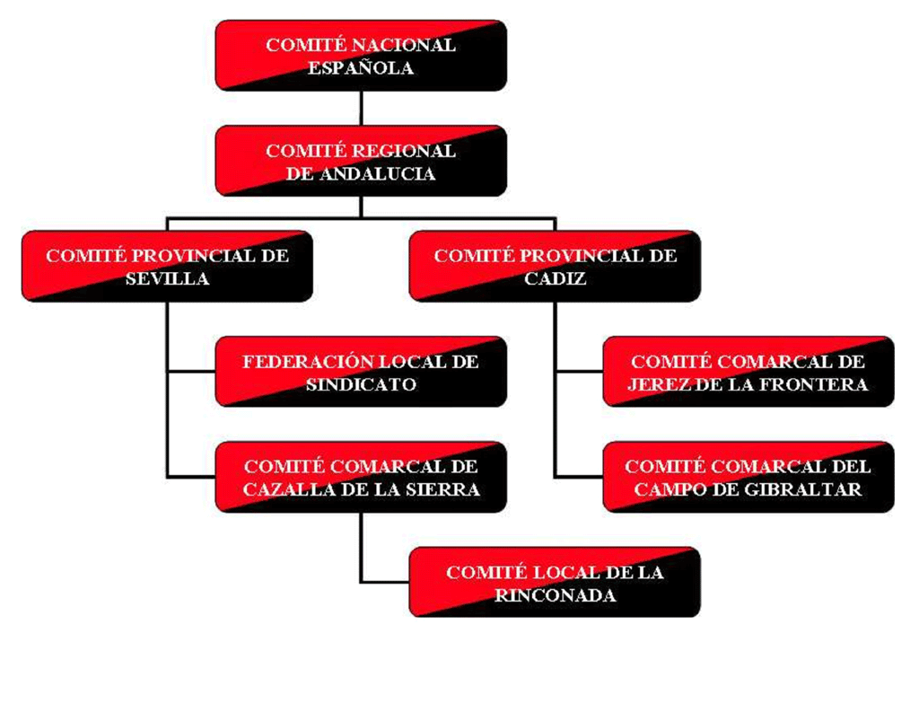 Organigrama de la CNT a nivel español y andaluz